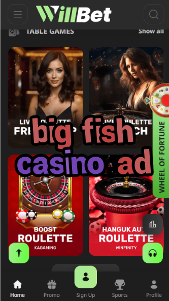 Big Fish Casino Ad - Game Advertisements-casinoorder.vip