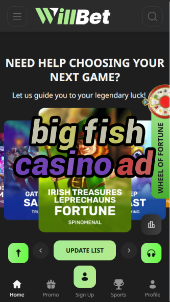 Big Fish Casino Ad - Game Advertisements-casinoorder.vip