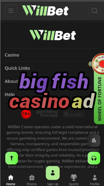 Big Fish Casino Ad - Game Advertisements-casinoorder.vip